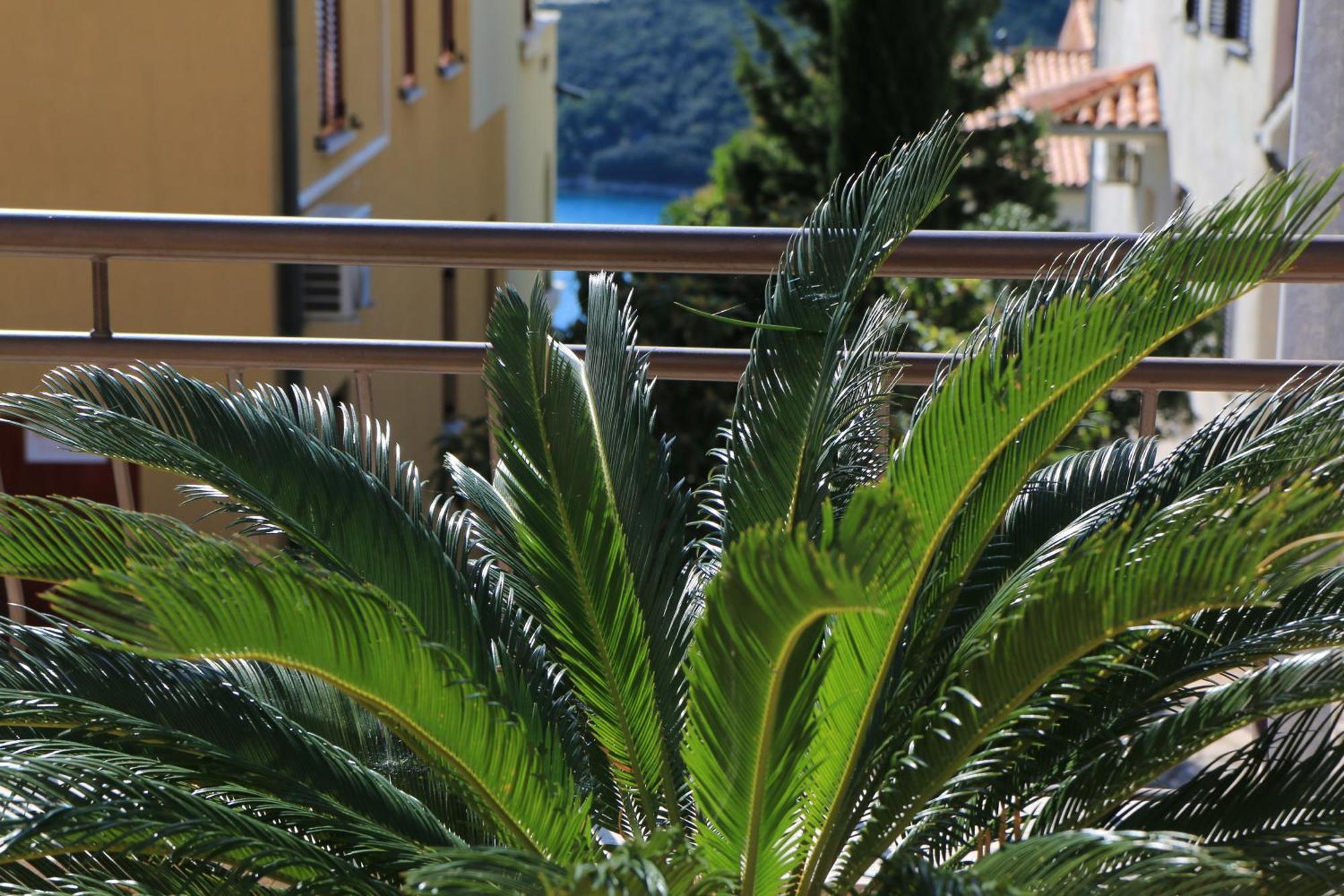 Apartments With A Parking Space Rabac, Labin - 7429 Esterno foto